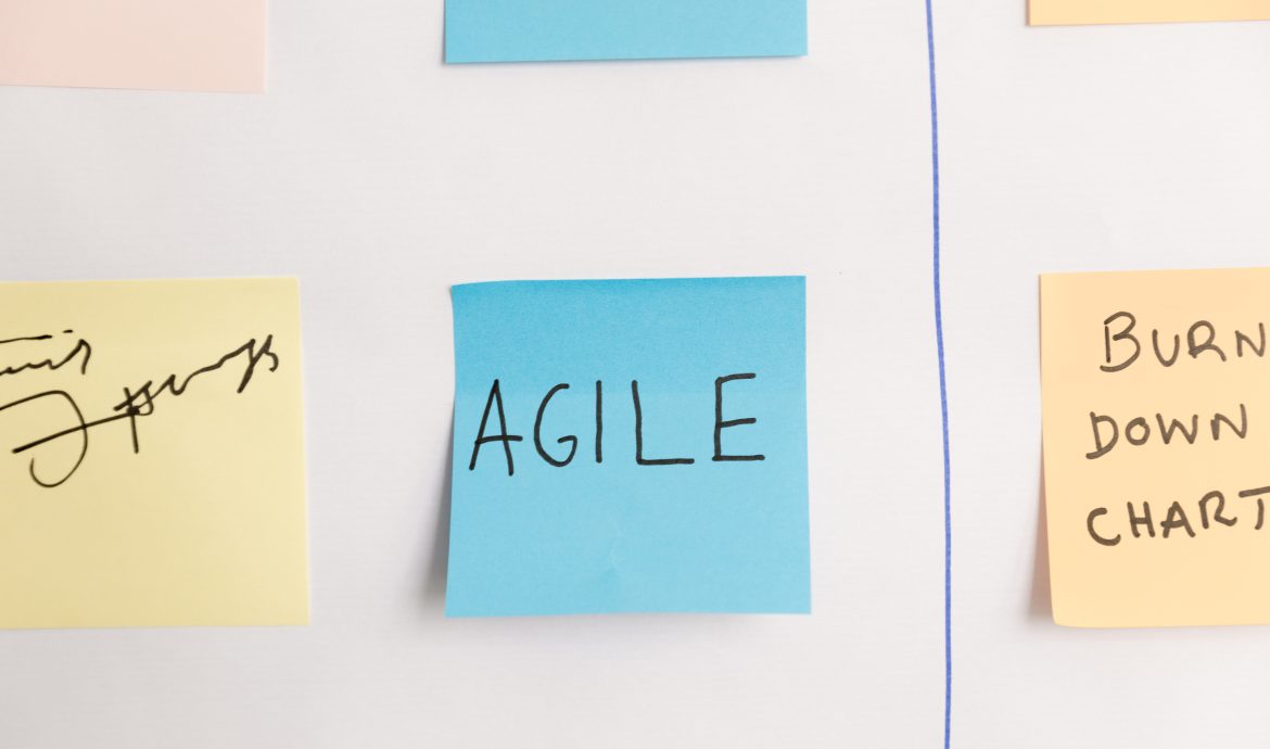 The Role of Business Analyst in Agile World
